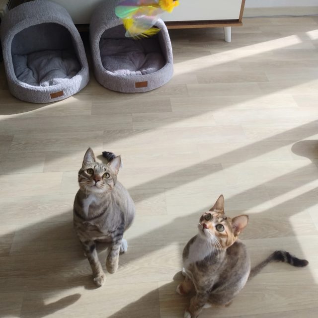 리뷰 프로필 이미지
