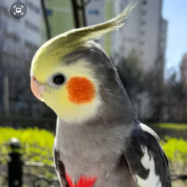유빈이네