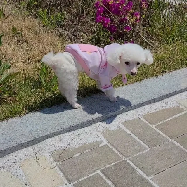 새벽