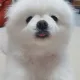 돨돨