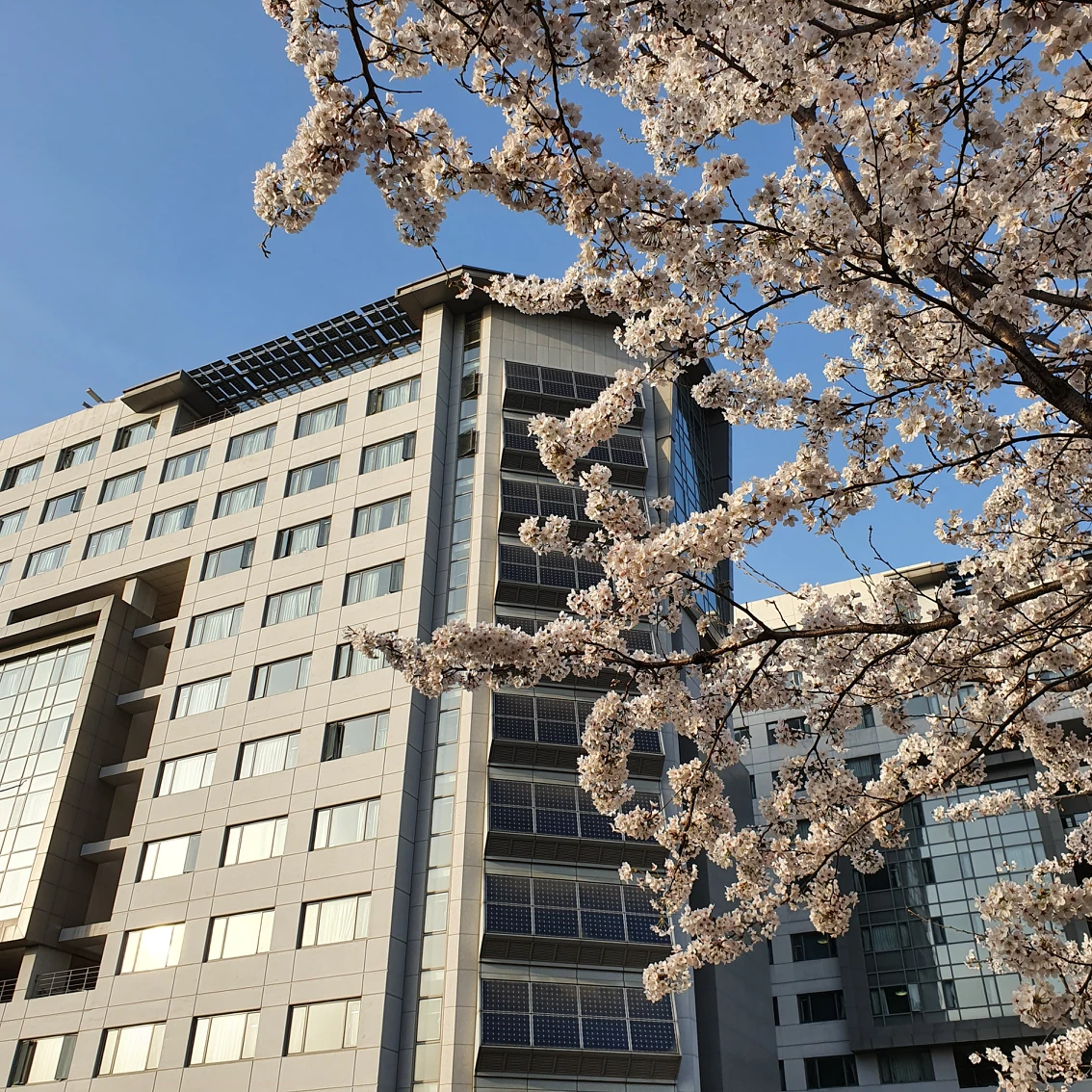 당근조아당근