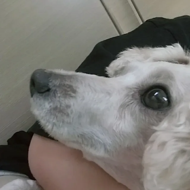 별이맘
