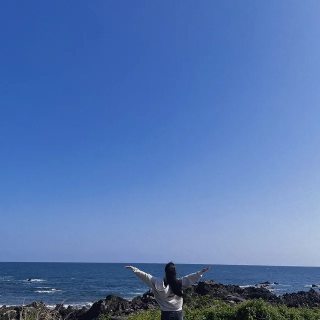 꼬뷰기