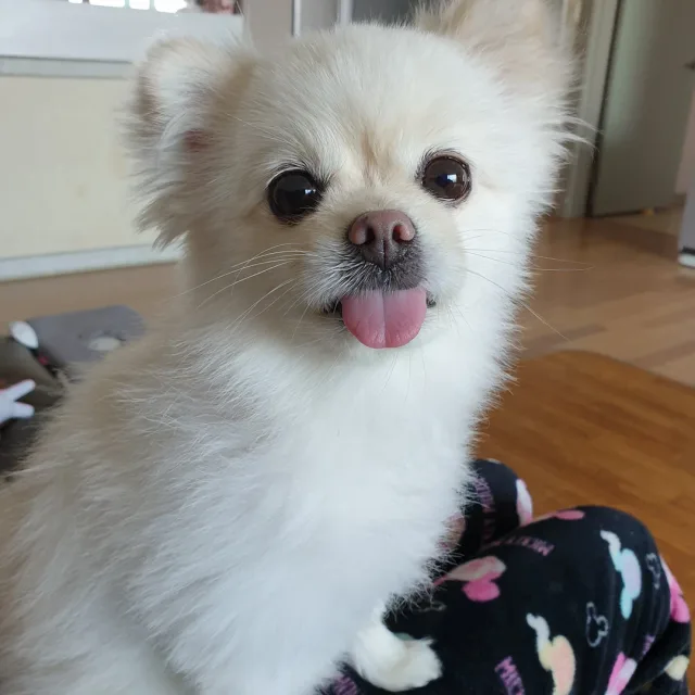 천지연폭포