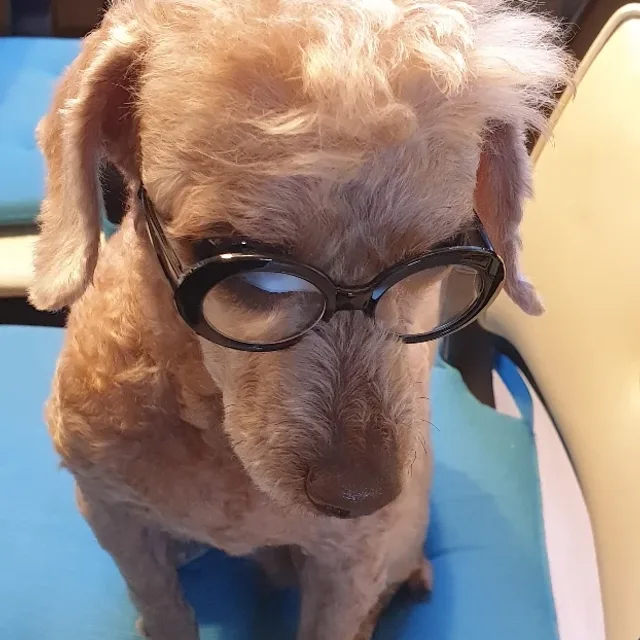 당신잘못아닙니다