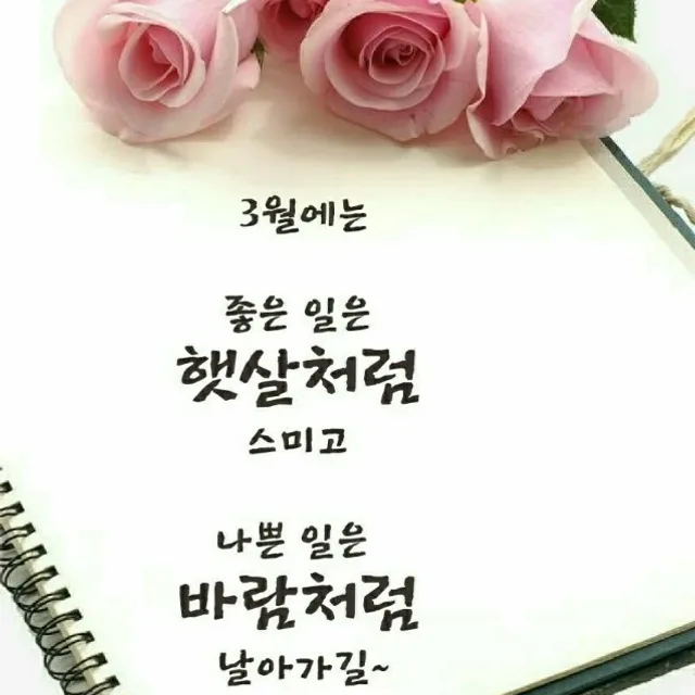 부산별밤