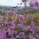 하이상점