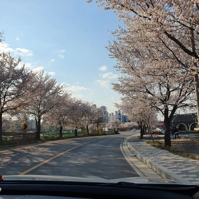 초미맘
