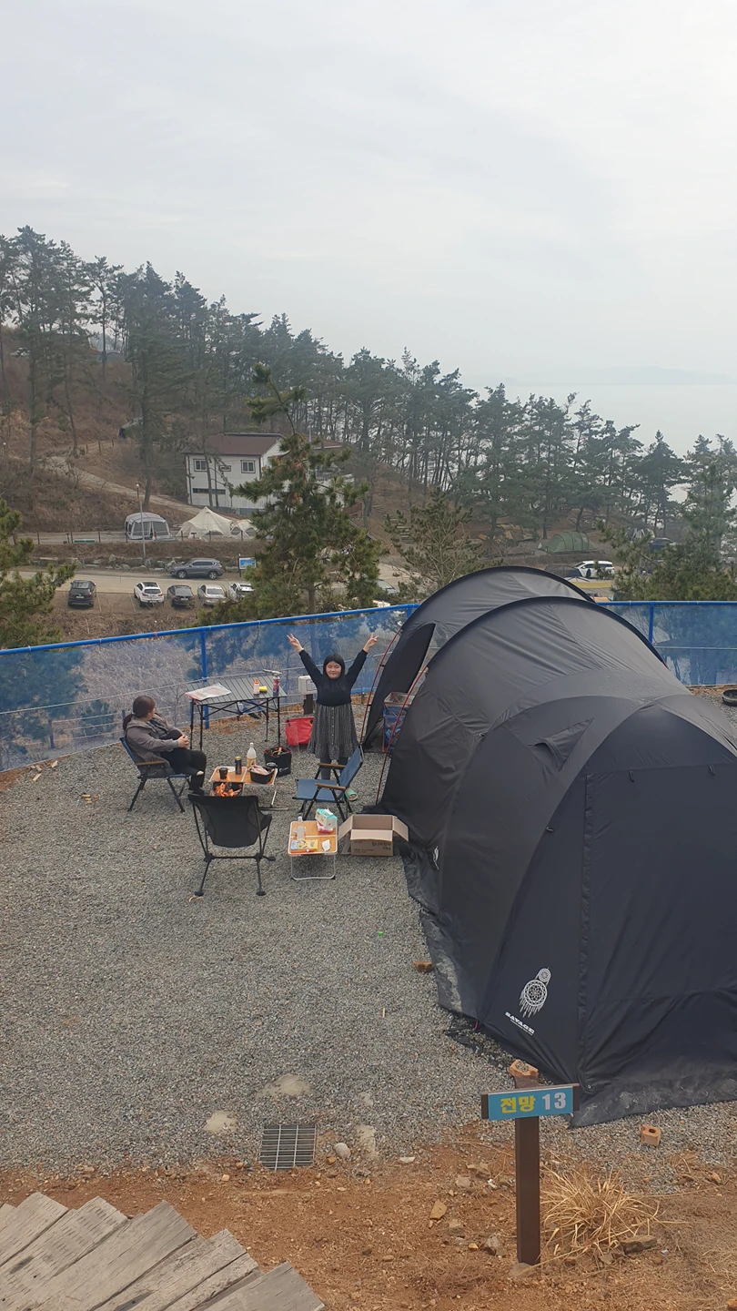 소나무다