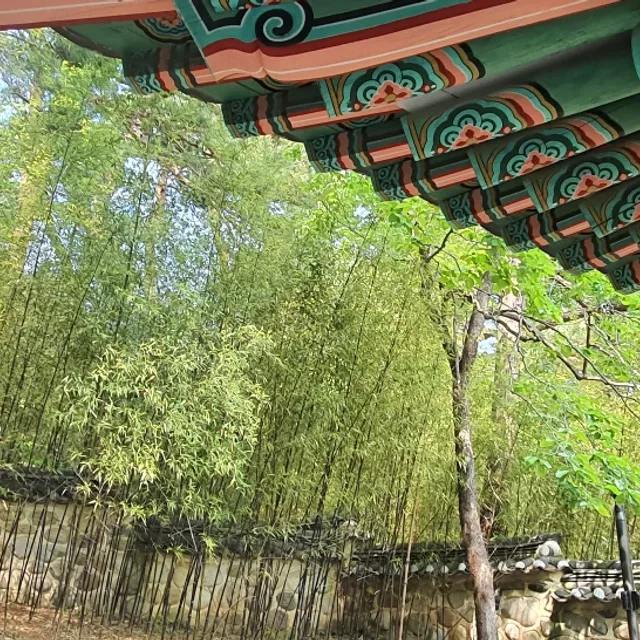 올li브