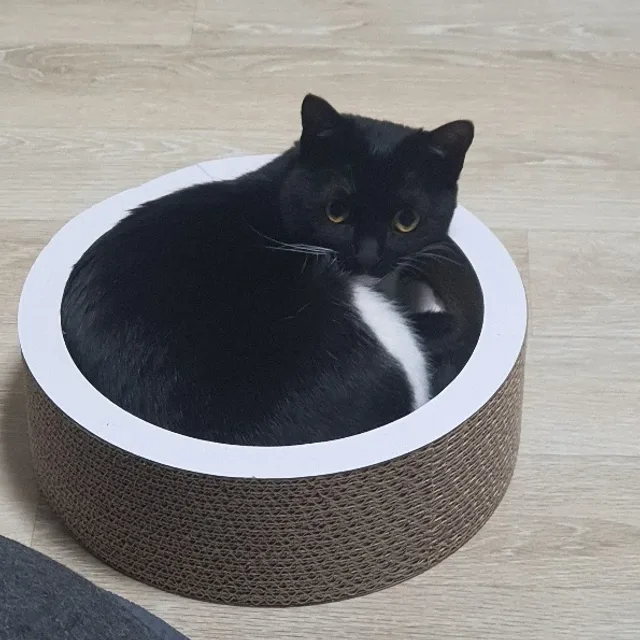 죽림