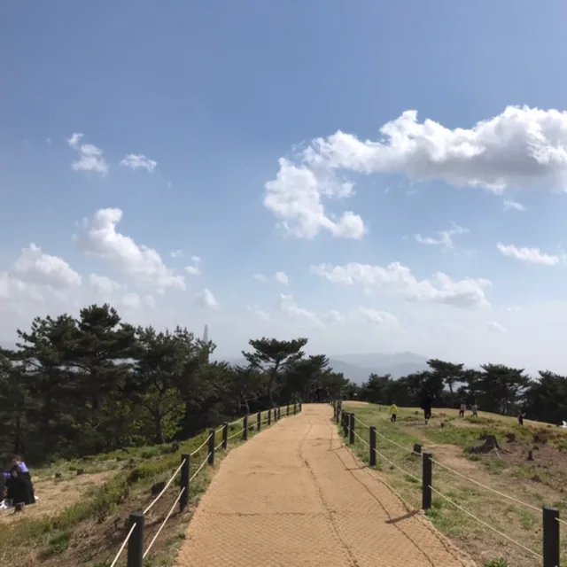 써니맘