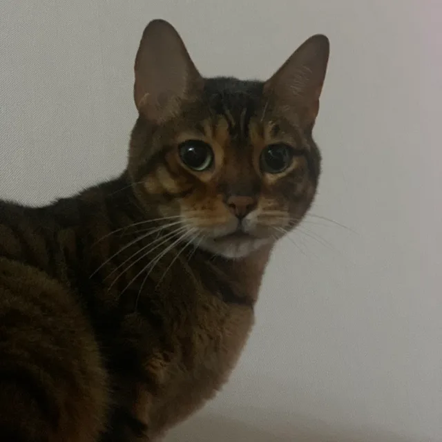 profile