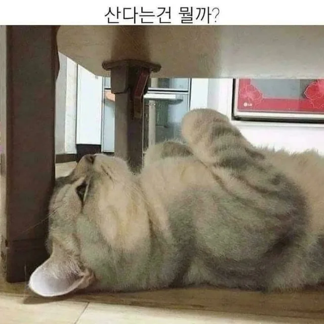 당근밭의주인