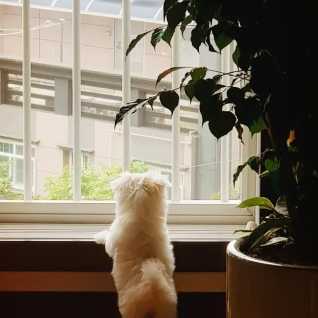 profile