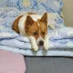 나리맘