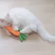 바니바니당근당근