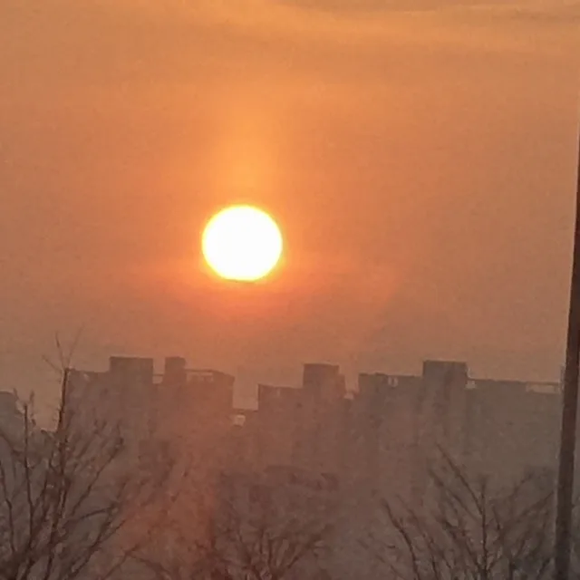 사랑