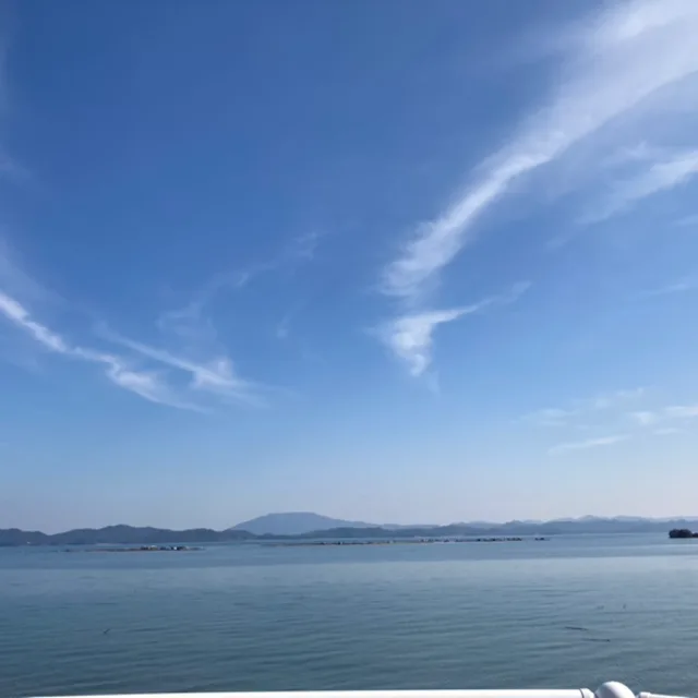 나꽃님