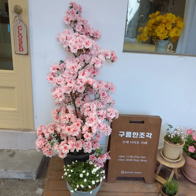 사랑별하늘