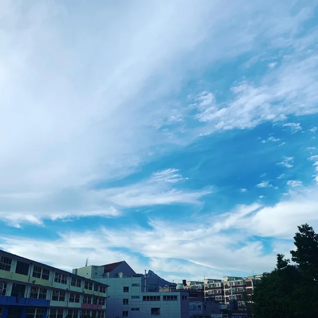깡총깡총