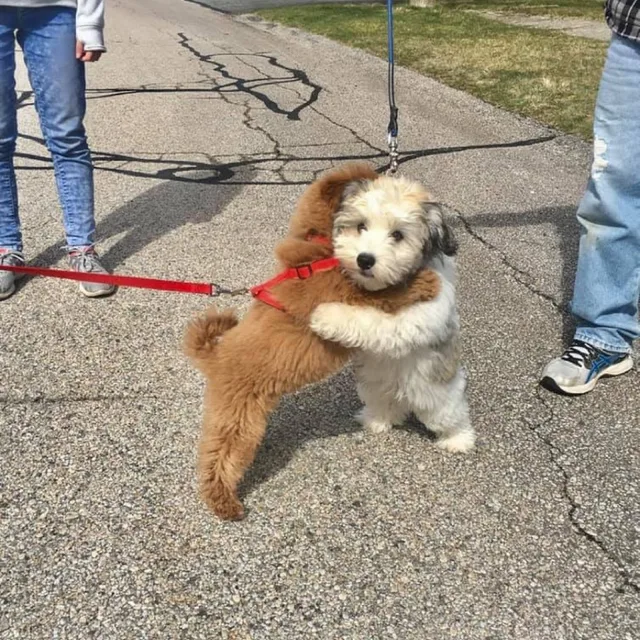 희르희르