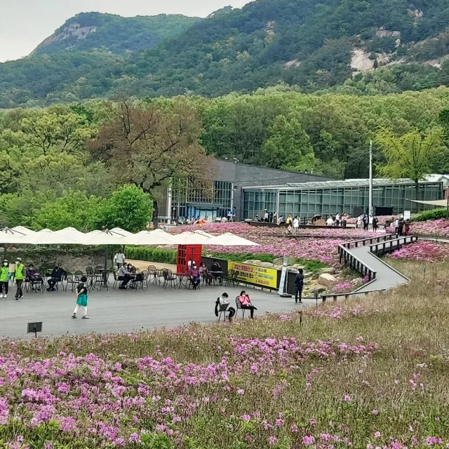 불암산사이길