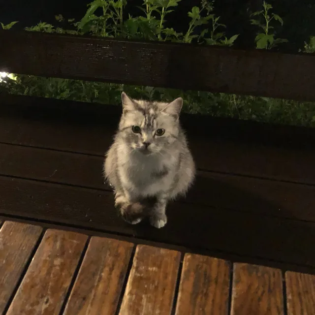 당근훠궈