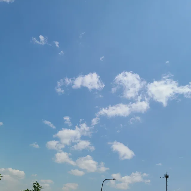 하늘늴리