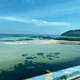츄시