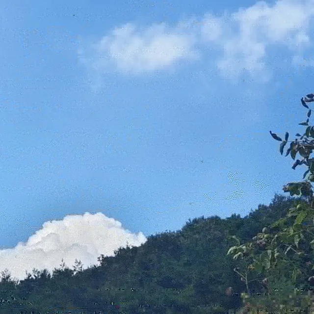 윈스타터