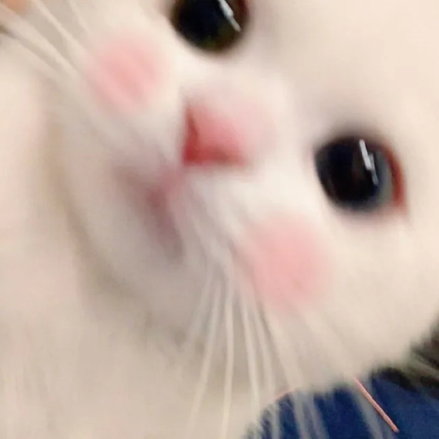 쑤둥쑤둥