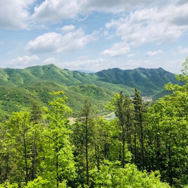 송파새댁