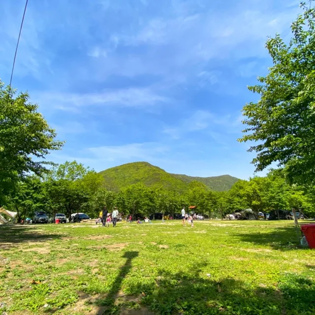 profile