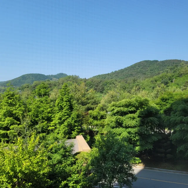 포시즌포레