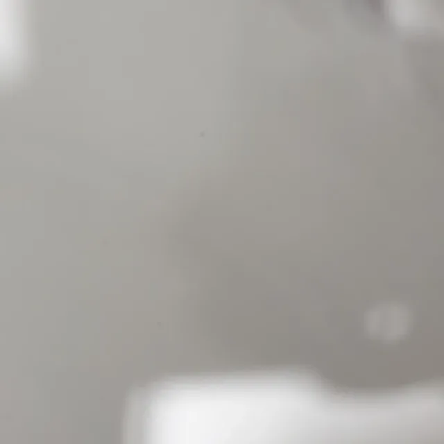 제아라쿠마아