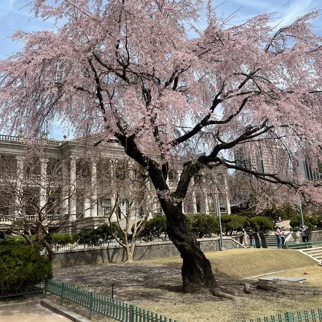 쥴리한