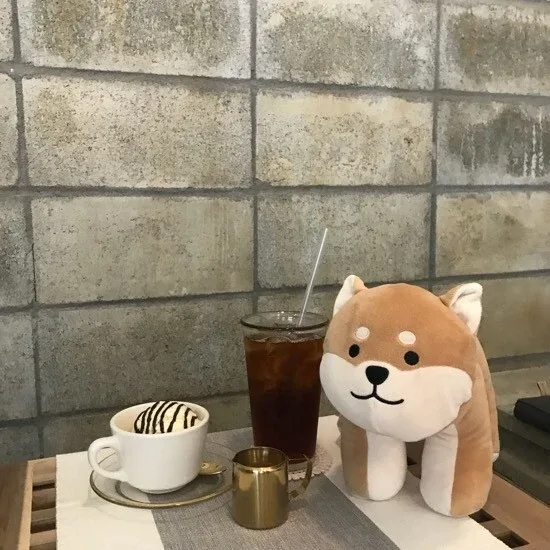 헬로제이v
