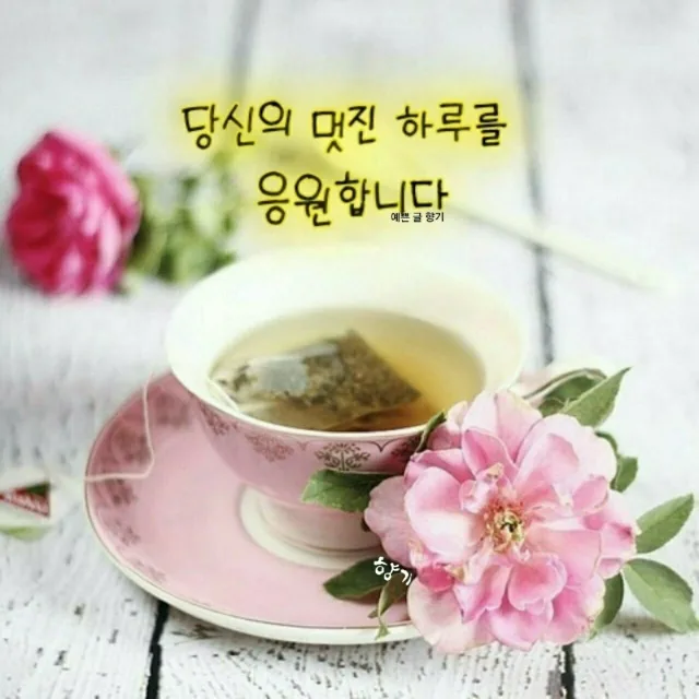 사랑으로