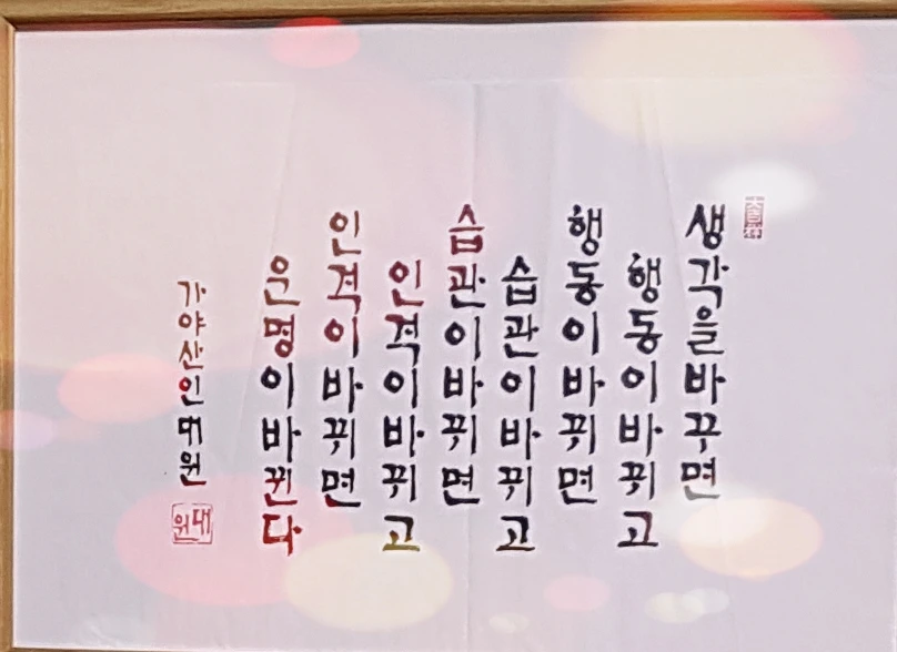 돈벼락