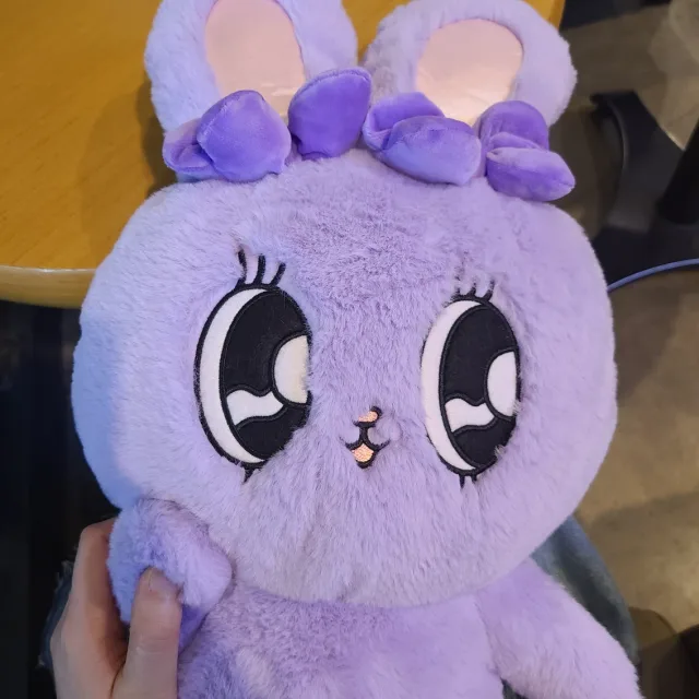 Ram9