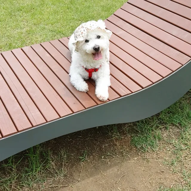 콩이