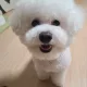 쏭호잇