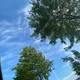 구룸