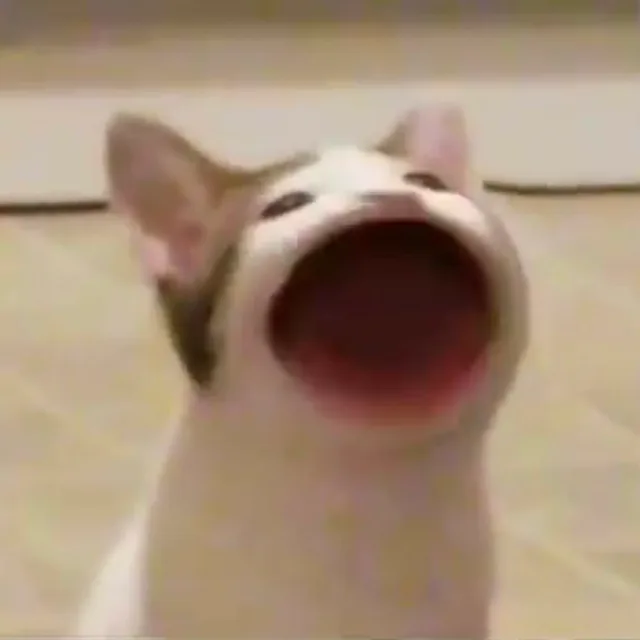 크와앙