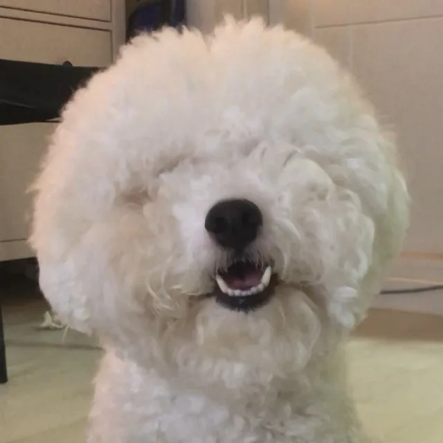 밥아저씨