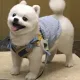 둡찡