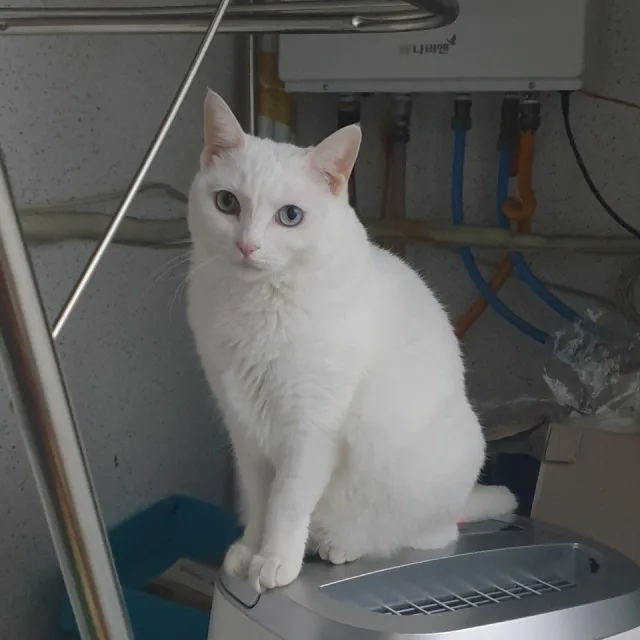 별이빛나는밤