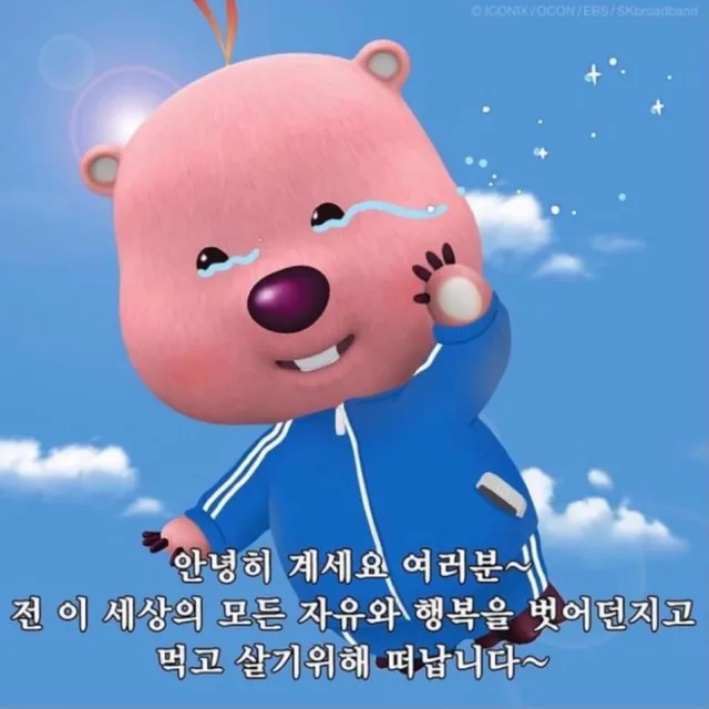 너구리쿤