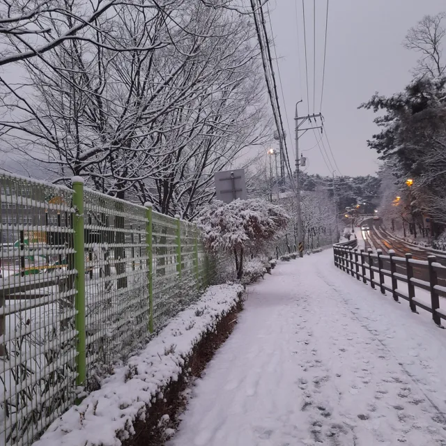 라메르